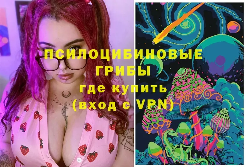 Галлюциногенные грибы Magic Shrooms  закладка  Зеленокумск 